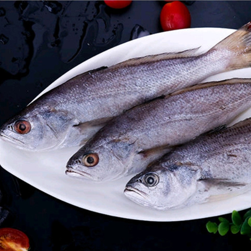 深海白菇鱼20斤新鲜冷冻海鲜水产白姑鱼黄菇鱼白姑黄鱼