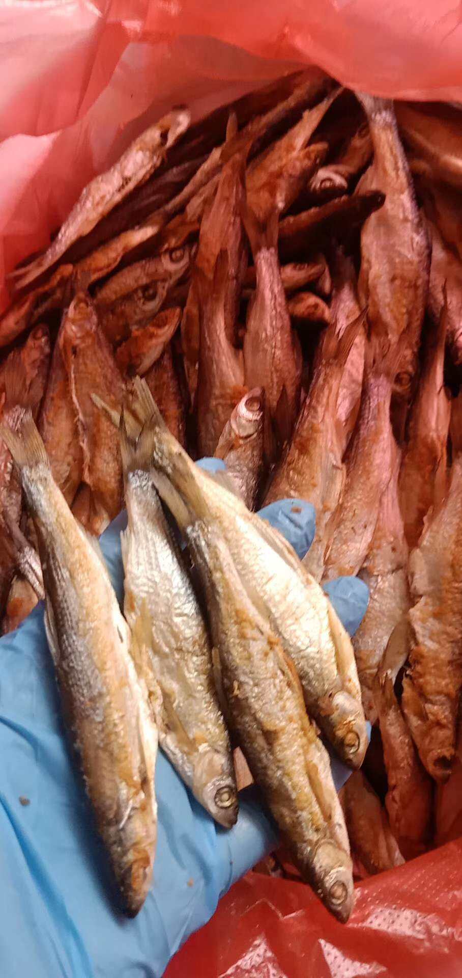 河鱼野生小河金寨大别山特产农村村野安徽淡水鱼类