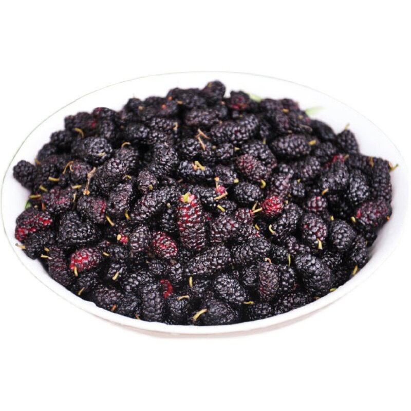 新疆特产尉犁县2022年新货桑葚干免500克袋装其它