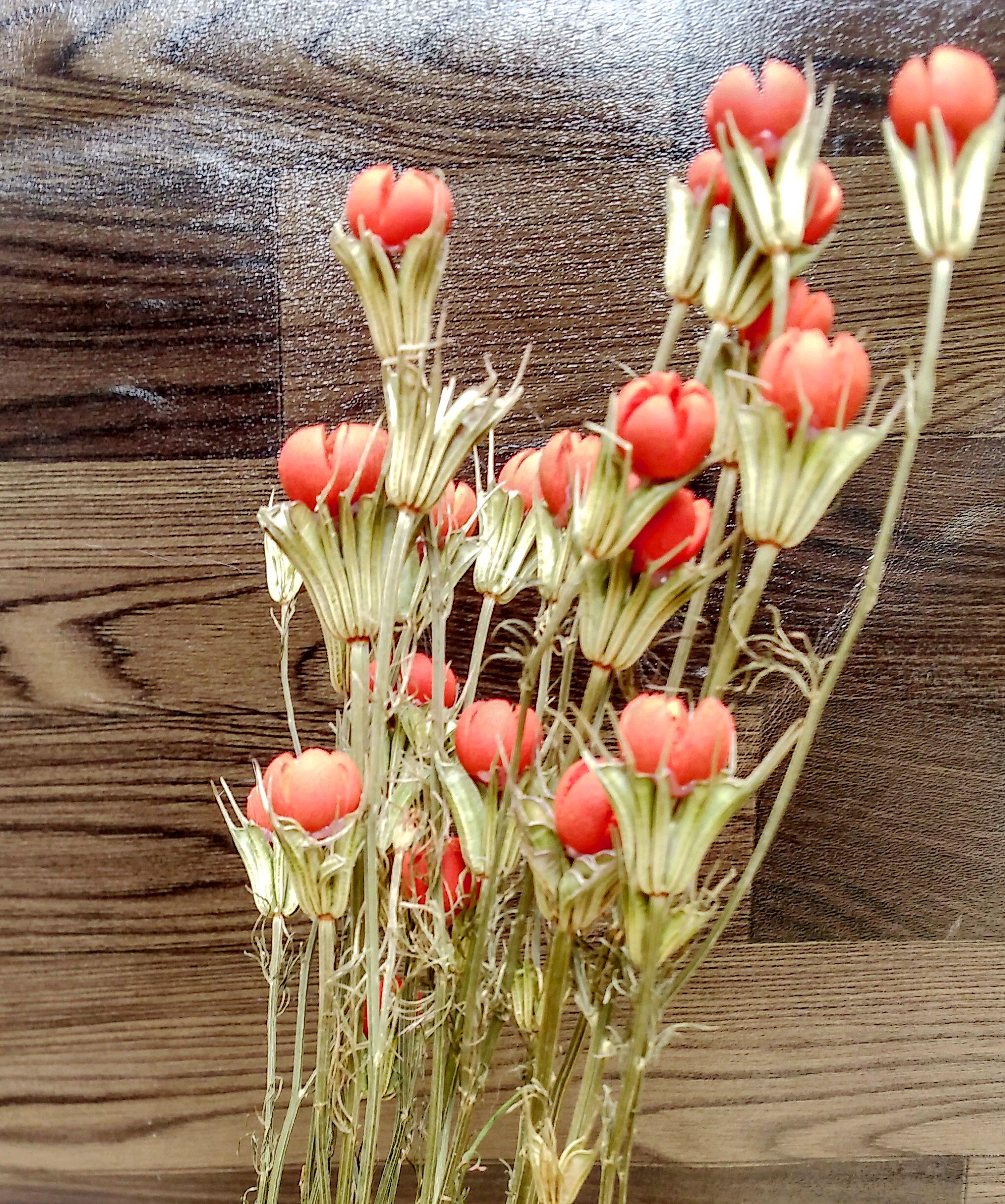 摆放新品云南干花开心果插花真花装饰花束飘窗干花