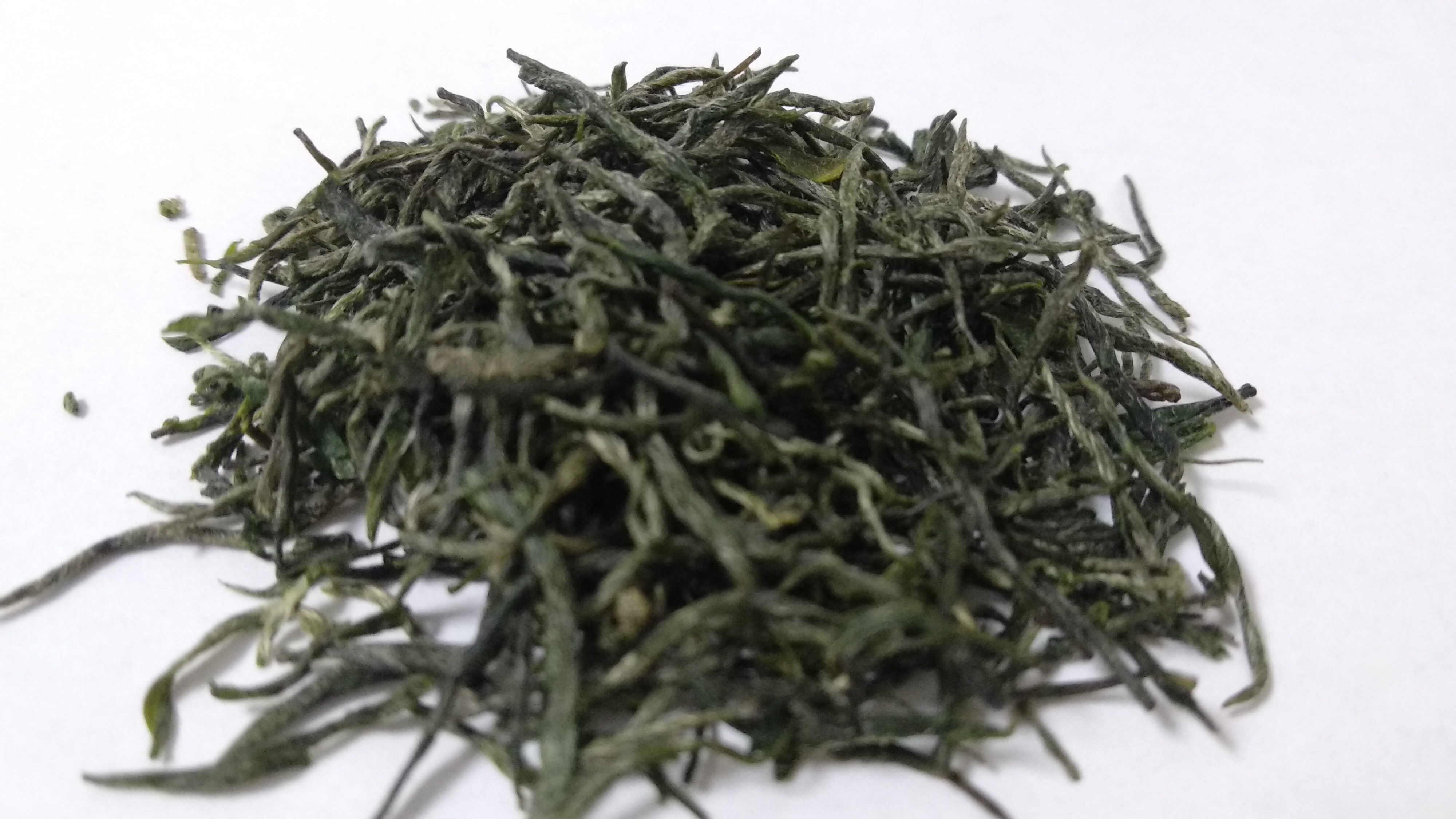 龙潭高山中品尝5克芽特山中雨前村绿谷雨茶叶信阳毛尖