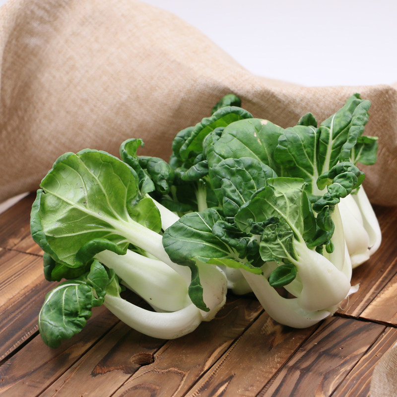 有机白菜新鲜蔬菜配送农家奶油青菜250g叶菜类