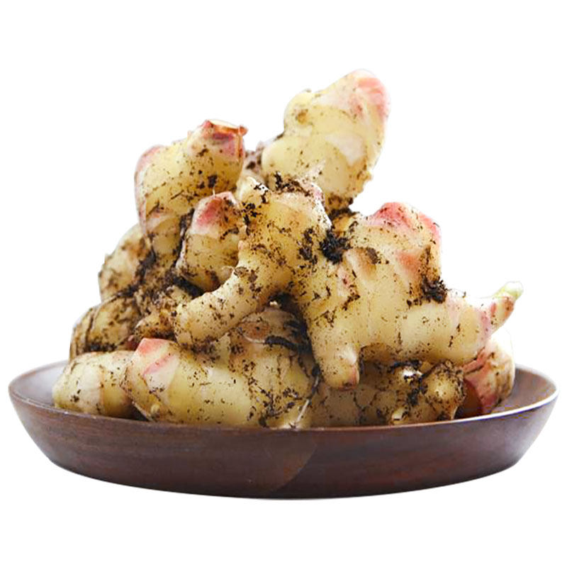 2020年鲜姜有机生姜新姜带食疗调味蔬菜500g生姜