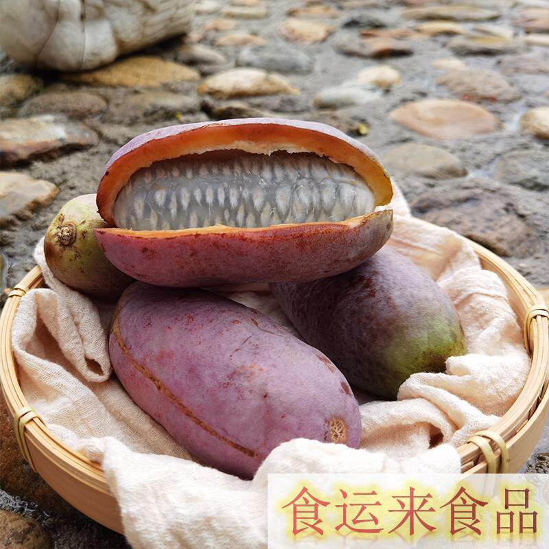 八月四川野生5斤新鲜当季时令水果炸野香蕉甜瓜