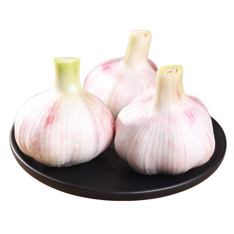 新鲜大蒜现挖蒜头5斤发紫白皮嫩蒜腌糖蔬菜大蒜