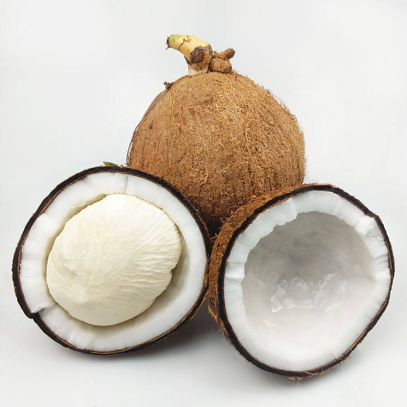 椰子椰宝新鲜1个发芽孕妇水果芯老肉饼网红椰青