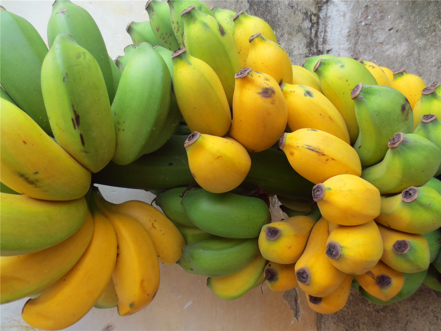 促销新鲜banana水果香蕉小米蕉鸡蕉净重8斤包邮