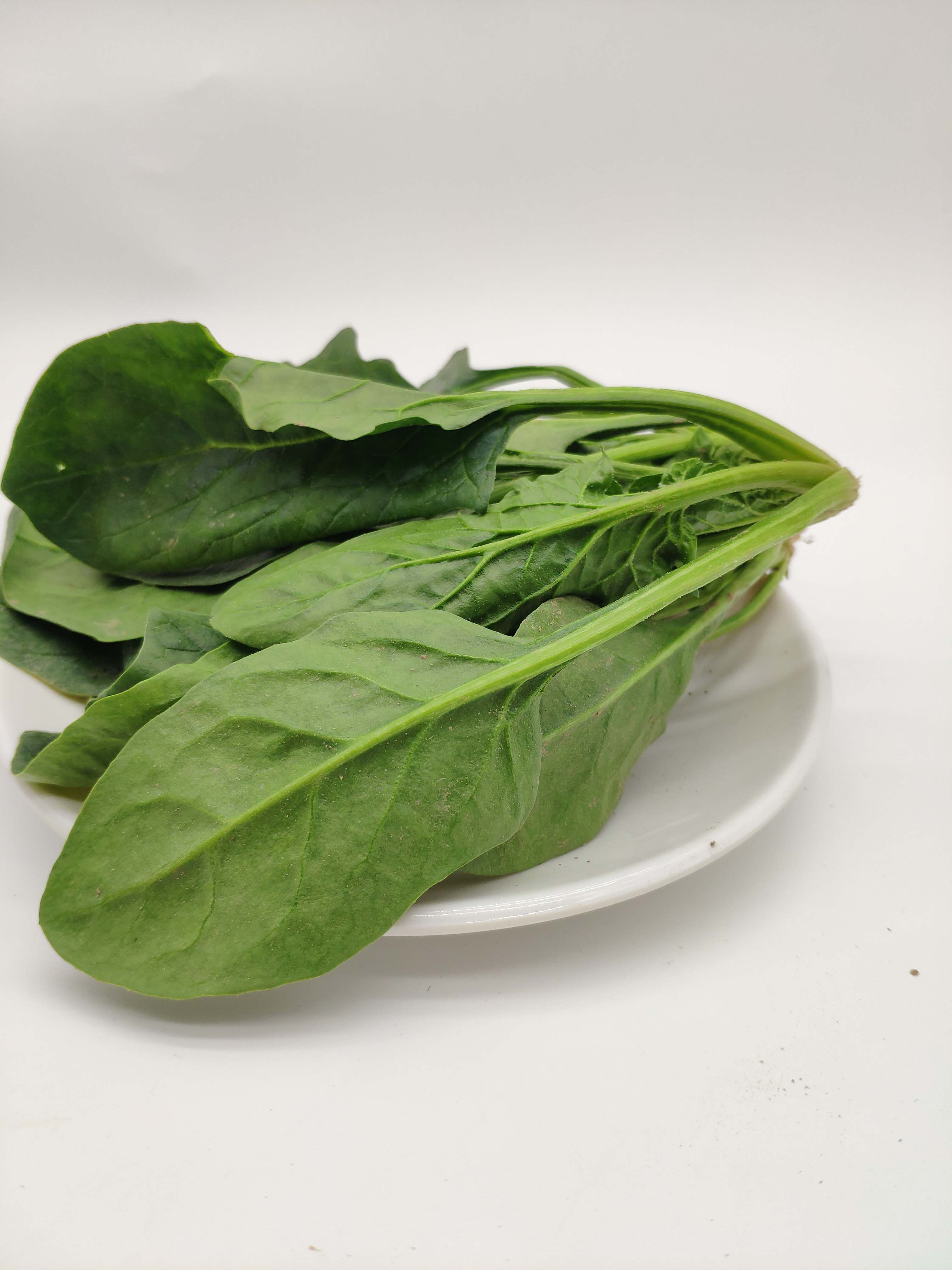 新鲜蔬菜嫩叶小菠菜菠菜同城快递配送火锅500g叶菜类