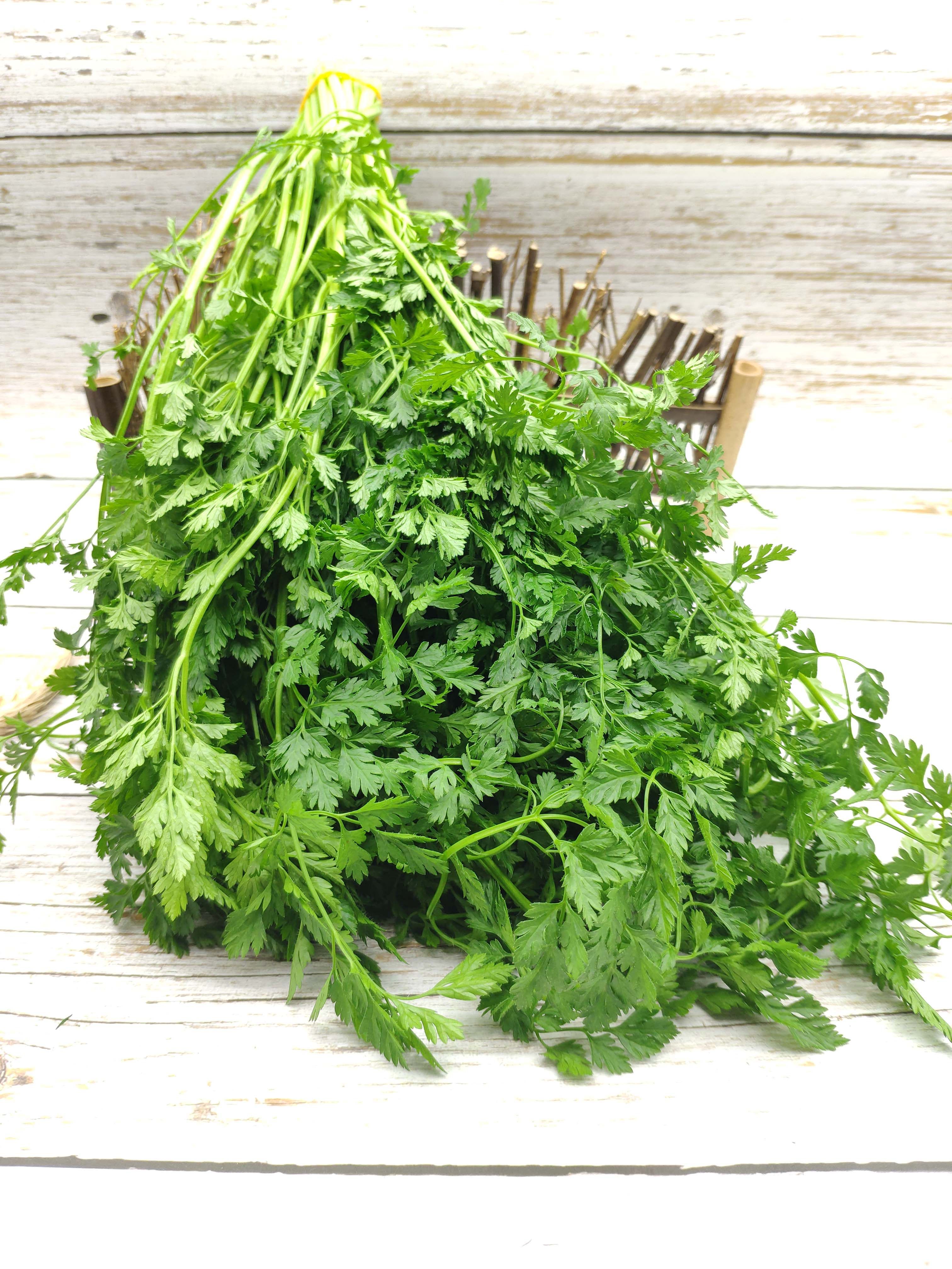 新鲜英芫细叶香料雪维英元西餐调料香草100g其它