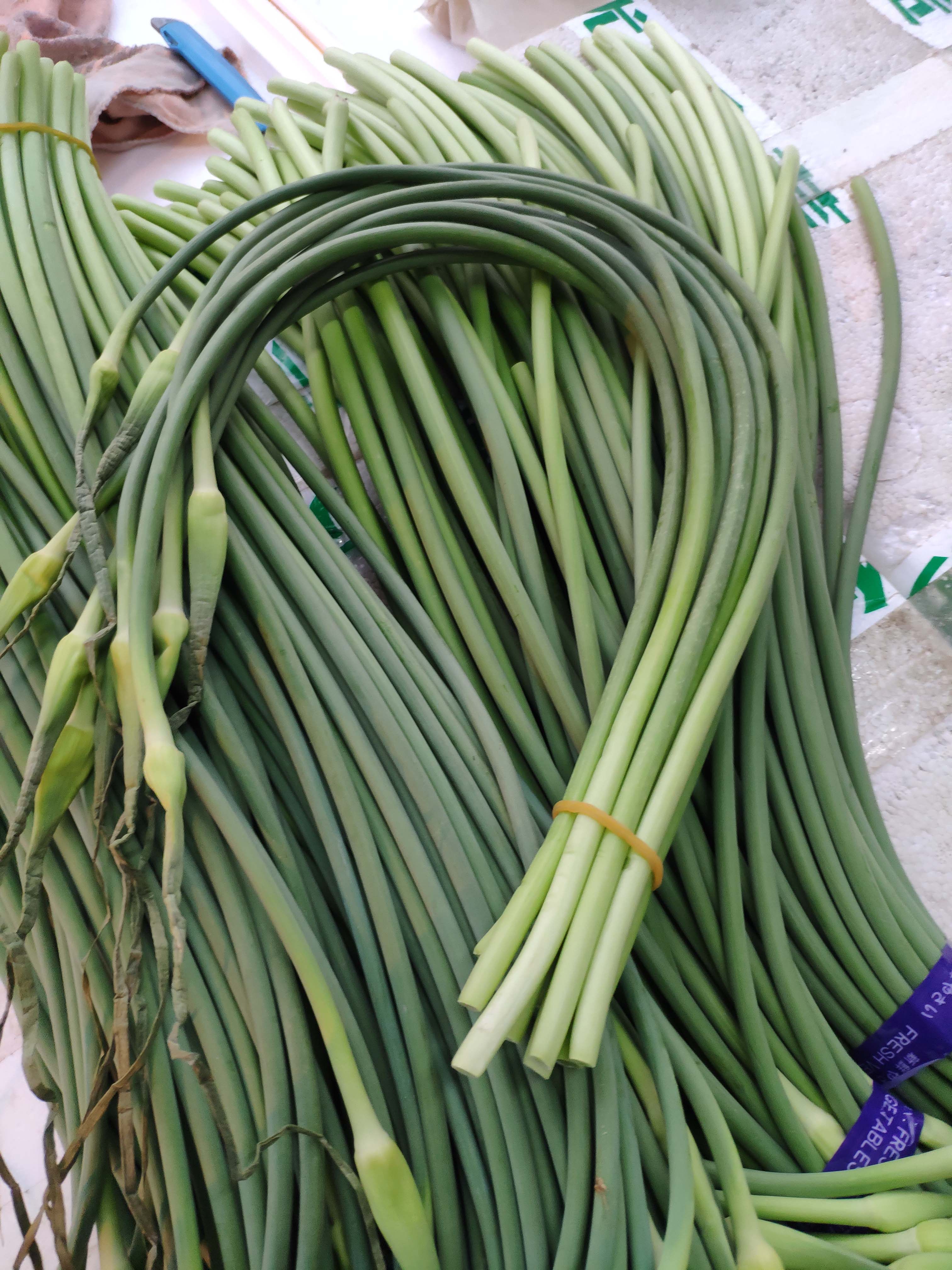 新鲜食用蔬菜蒜苔蒜毫青蒜农家无公害种植农产品其它