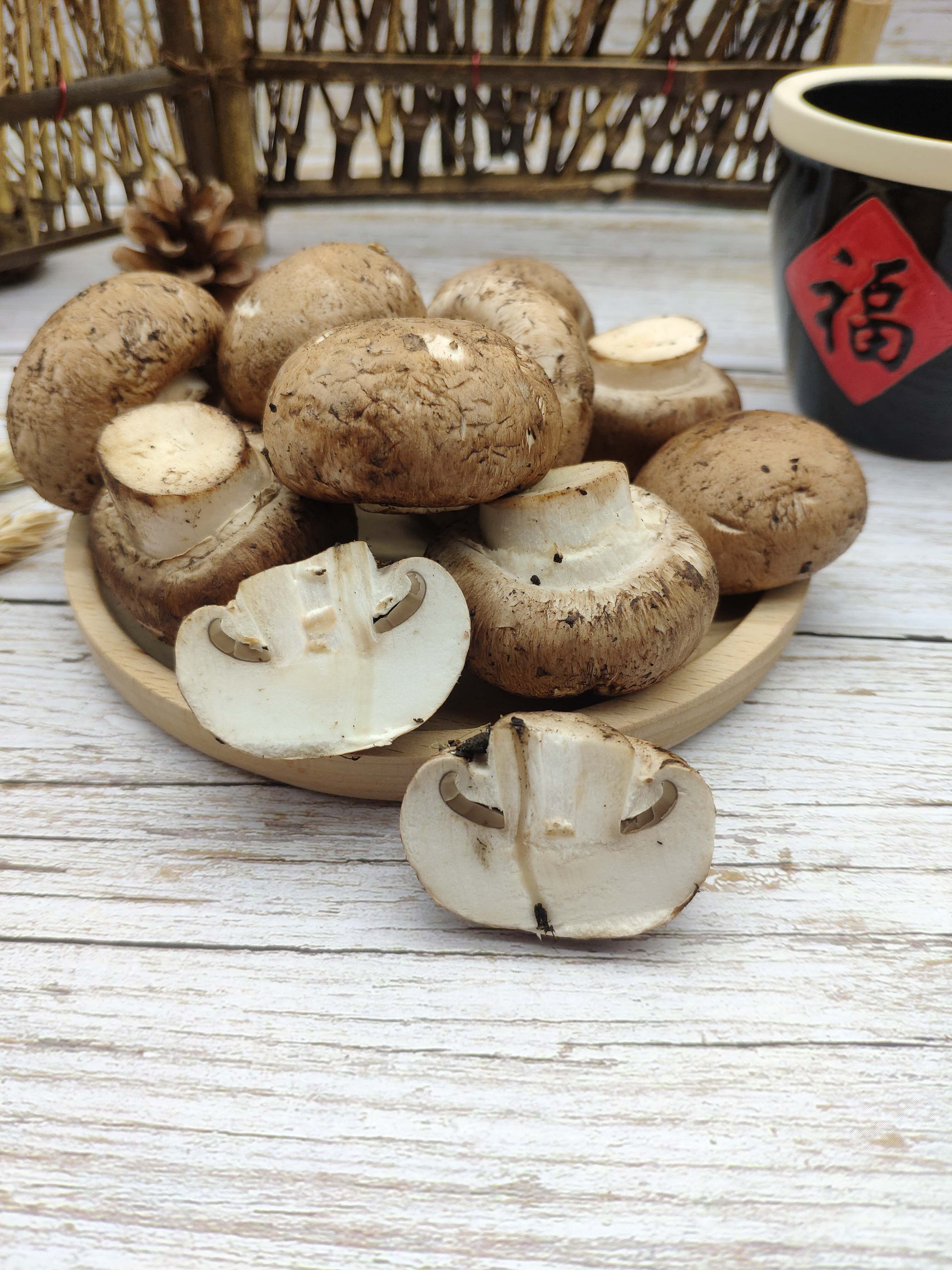 新鲜牛排小褐小啡食用食用菌菌类蘑菇香菇珍宝其它