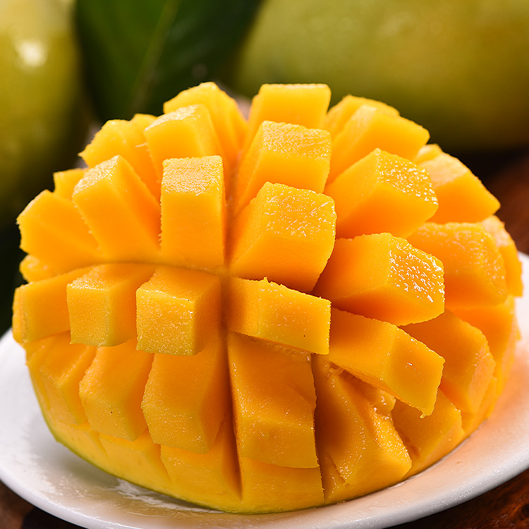 四川攀枝花凯特芒果单果300g净重75斤xb芒果