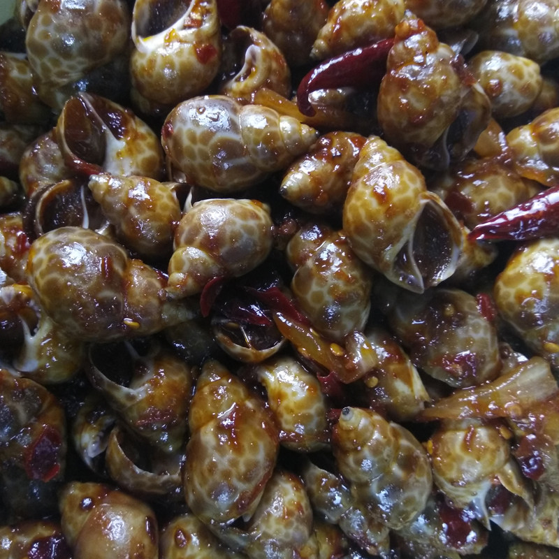 大连海鲜田螺野生扁玉螺海猪螺东风螺香小海螺海螺