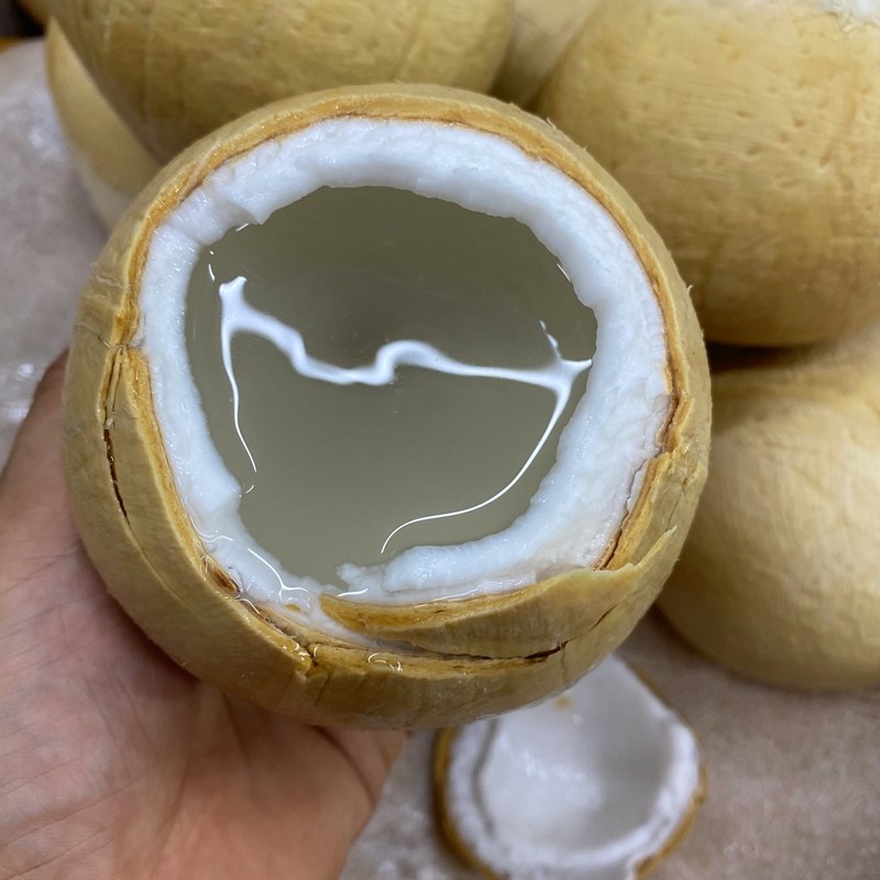 椰子泰国香水椰皇新鲜水果去皮煲汤子鸡非椰椰青