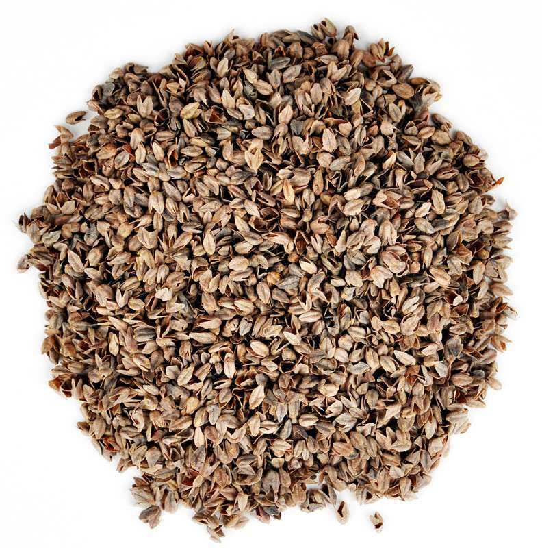 特级黄苦荞散装5斤10斤俄罗斯进口级荞麦壳枕头枕头