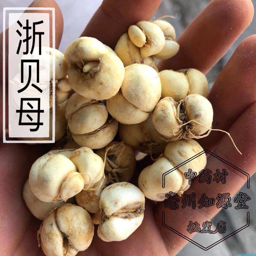 贝母中药材500克包邮野生浙贝个象传统滋补其他药食同源食品