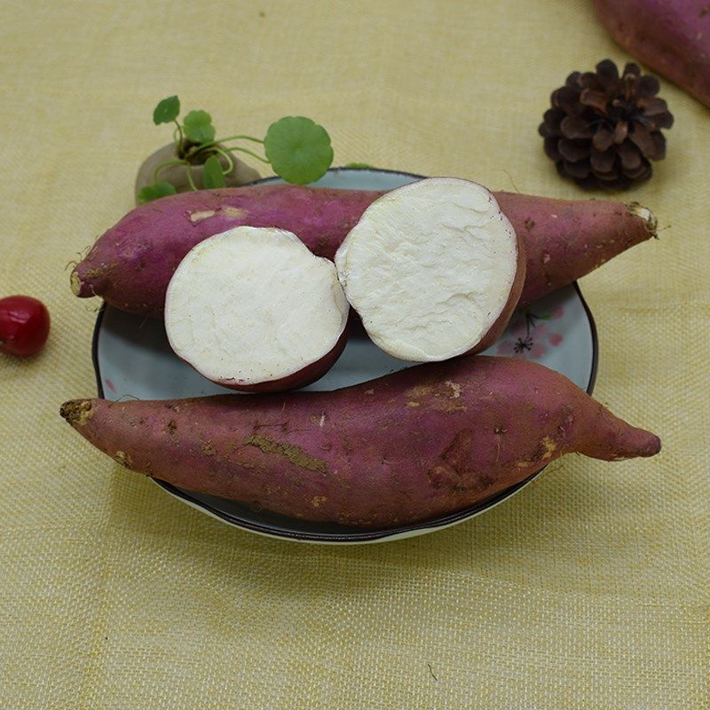 板栗白薯白心红薯新鲜白地瓜板票红暑香山芋板粟小蕃薯栗子薯5