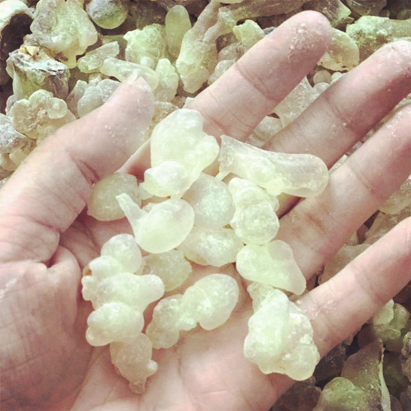 阿曼乳香单方精油10ml改善皮肤松弛细纹松脂单方精油