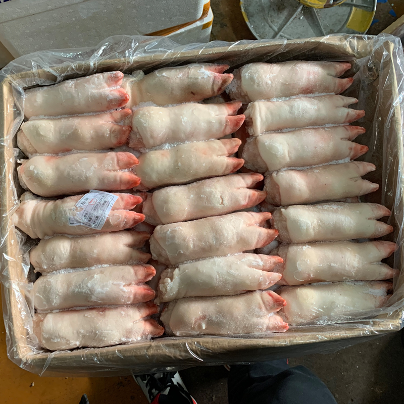 冷冻新鲜猪蹄带筋猪前蹄生猪蹄20斤40个左右小香猪生鲜猪手