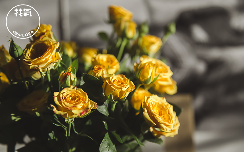 花气明亮阳光色系柠檬黄色泡泡多头玫瑰街野餐时令草本花卉