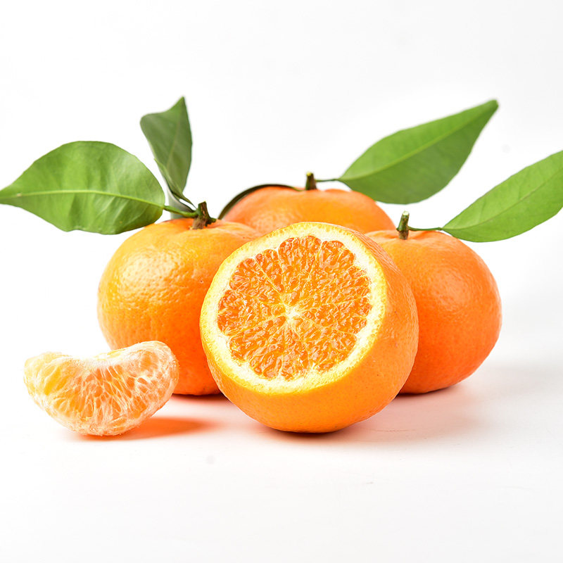 实建褚柑云南褚时健褚橙系列水果新鲜励志沃柑橙