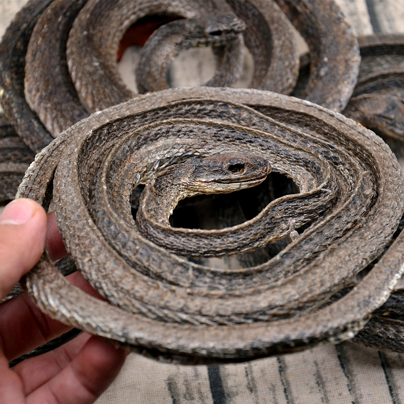 中药材完整大条四川乌梢蛇干乌蛇干乌蛇泡酒500克包邮免费打粉