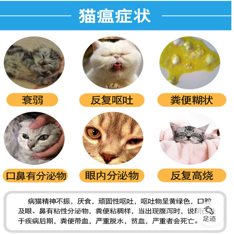 唯卓猫瘟病毒测试卡猫瘟试纸fpv试纸 猫鼻支猫冠状单测出售包邮