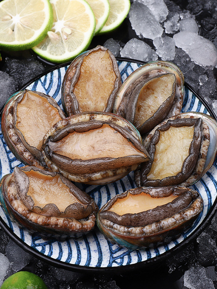 鲍鱼鲜活海鲜贝类水产新鲜崂山特产海九孔特大鲍鱼