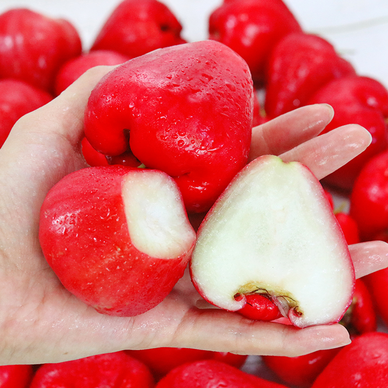 海南红宝石莲雾水果5斤当季新鲜特大果雾黑金刚莲雾