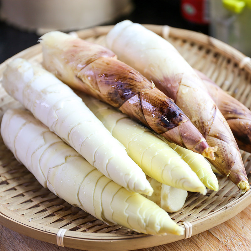 临安天目山春笋农家新鲜蔬菜现挖雷笋竹笋大笋竹笋