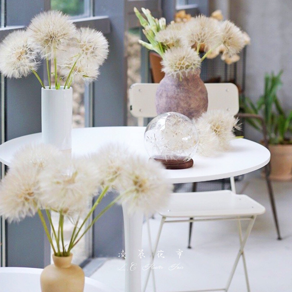 巨型蒲公英鲜花北欧ins轻奢网红同款家用办公鲜花速递(同城)