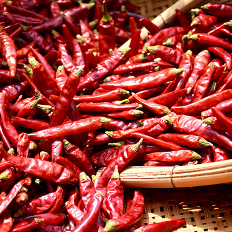 火锅辣椒吴优重庆精选农家辣椒酱海鲜调料料底火锅调料