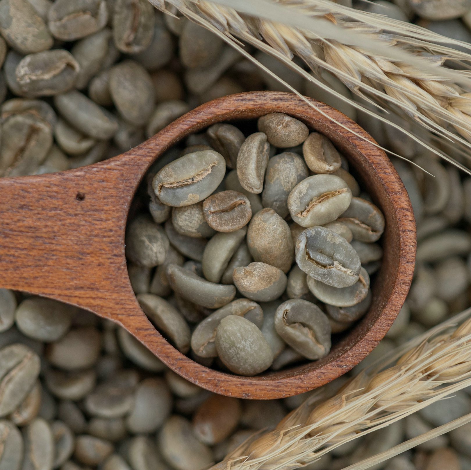 空运年产1kg印尼进口手冲咖啡生豆花岛瑰夏咖啡豆