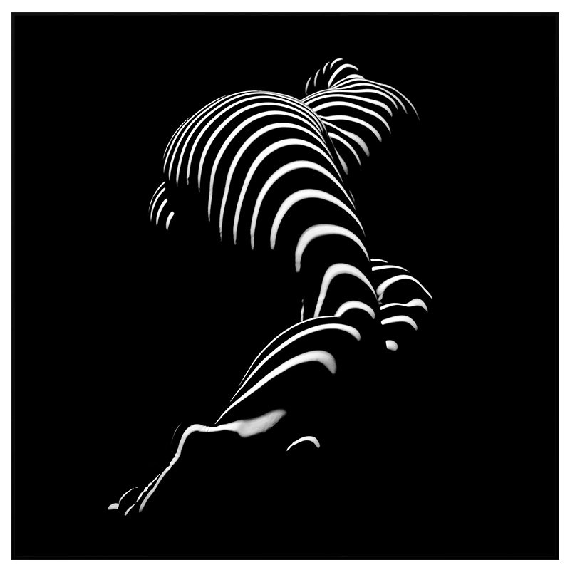 轻奢镜面装饰画客厅沙发背景墙办公室卧室玄关样板现代装饰画