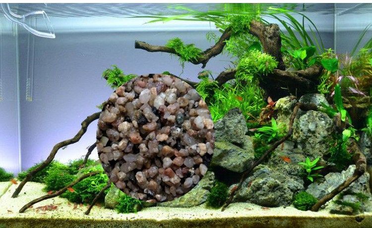 河沙沙土天然冬眠水族黄沙土沙子乌龟鱼缸配土造景