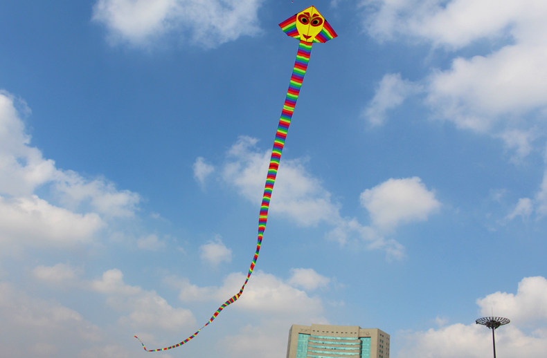 风筝潍坊新款15米天猴美女卡通好飞长尾风筝