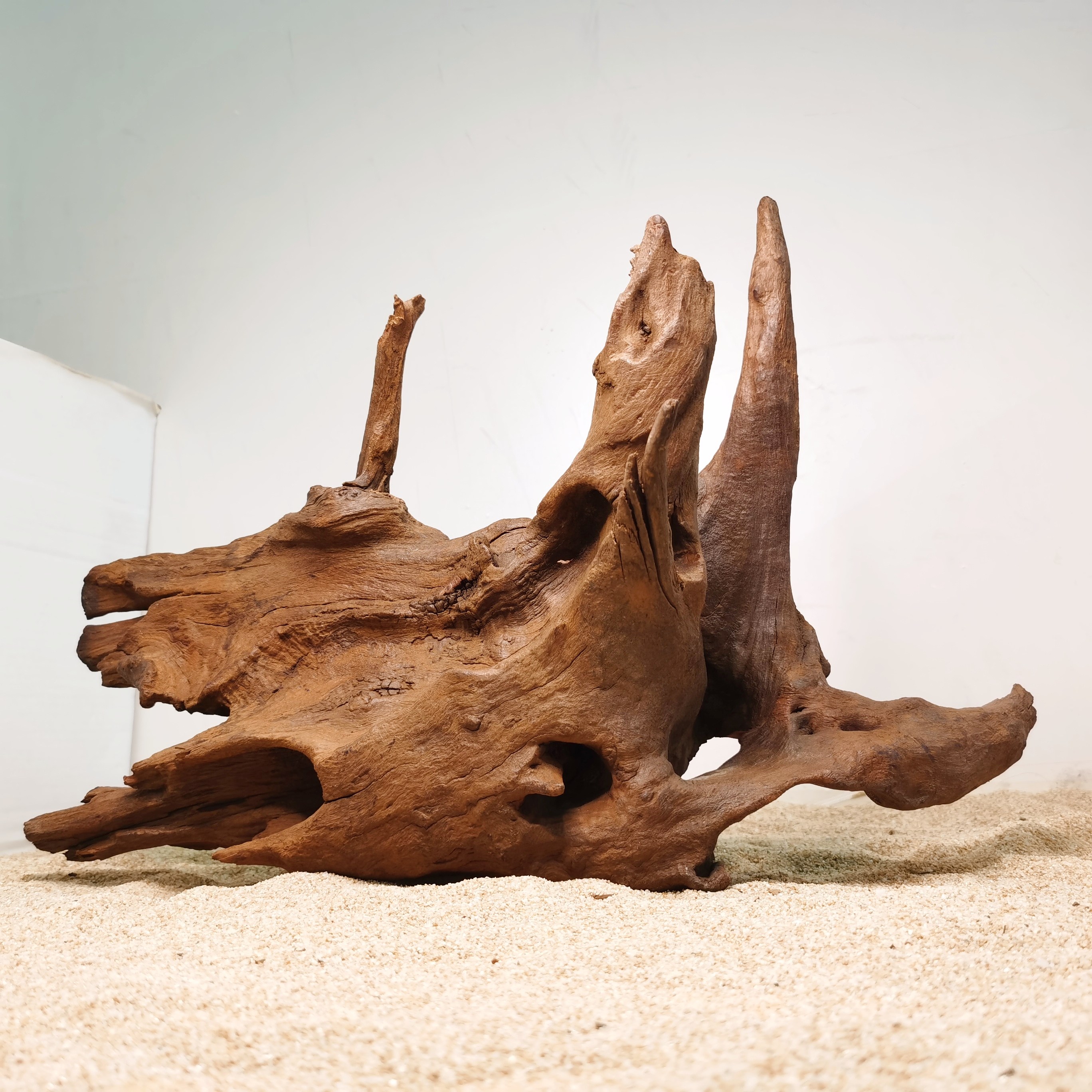 造景鱼缸沉木莫斯树紫柚木流木守宫草缸装饰造景