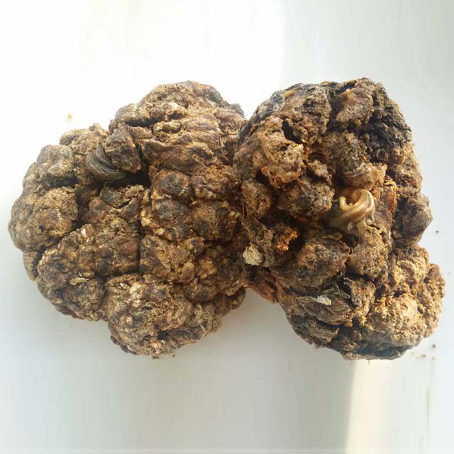 紫黄色胎盘2元1克满300克包邮满500克送50克羊胎盘粉