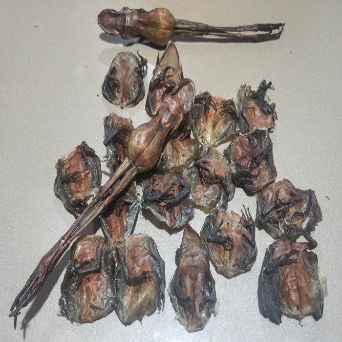 雪蛤皮纯长白山正品品林肚皮去腿脊骨500克林蛙皮其它雪蛤制品