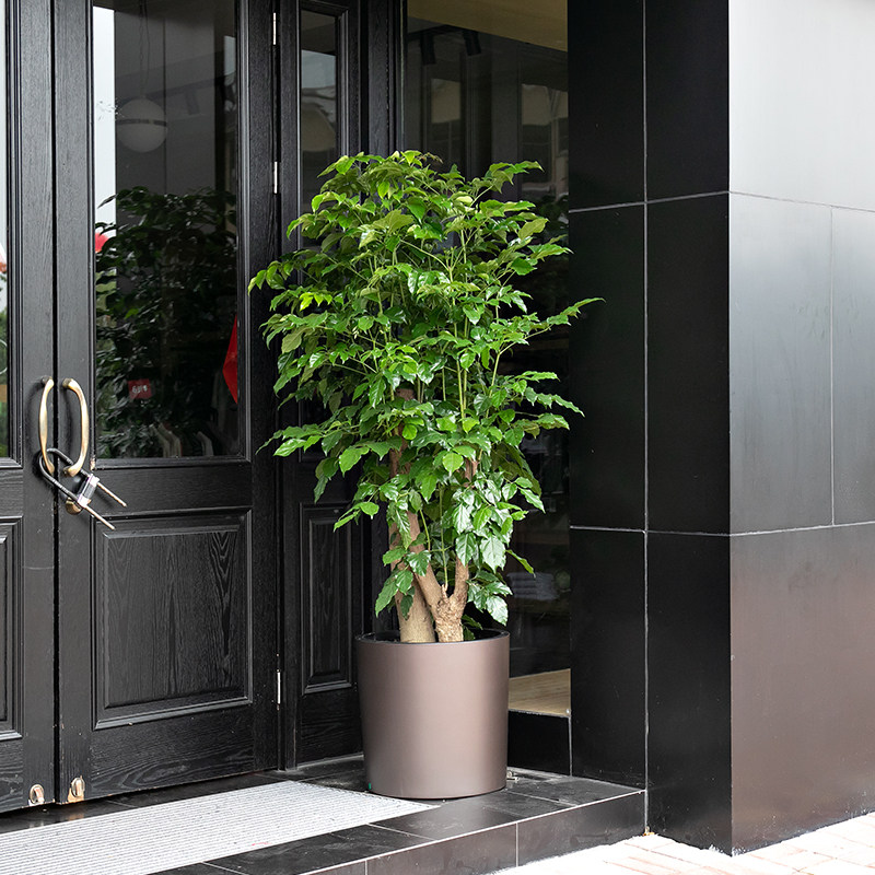 幸福盆栽塑料花盆特大落地客厅懒人花盆