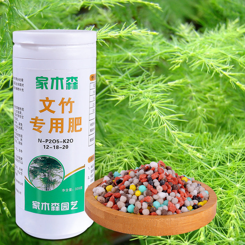 文竹肥料专用营养养文竹的肥料云竹肥料营养液室内文竹肥料家用