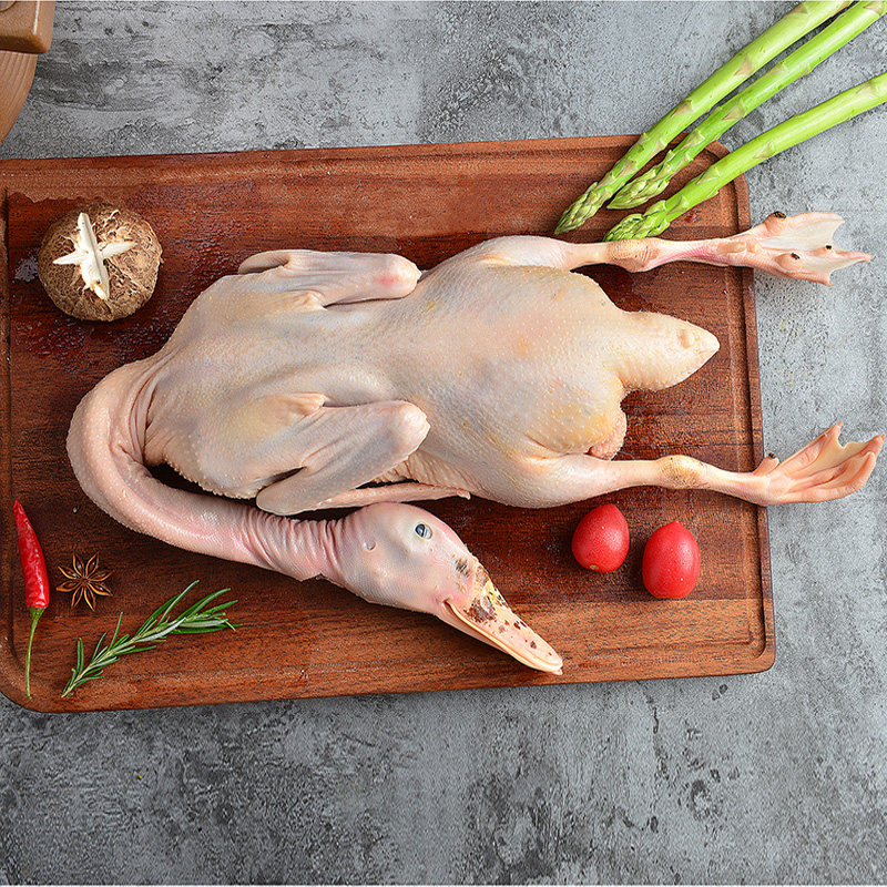 圣华稻田草鸭900g新鲜散养放养鸭肉整鸭公母鸭肉