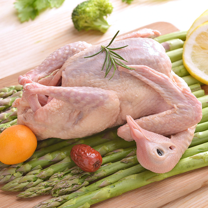 圣华鲜杀煲汤滋补鸽子以上新鲜1年散养农家其它