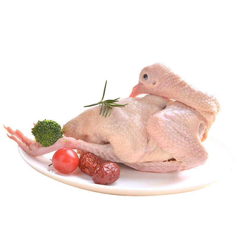 乳鸽鸽子圣华新鲜2只农家散养肉炖煲汤生鲜乳鸽