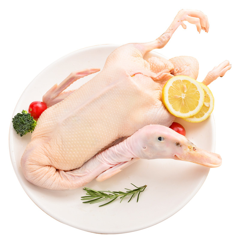 圣华稻田草鸭900g新鲜散养放养鸭肉整鸭公母鸭肉