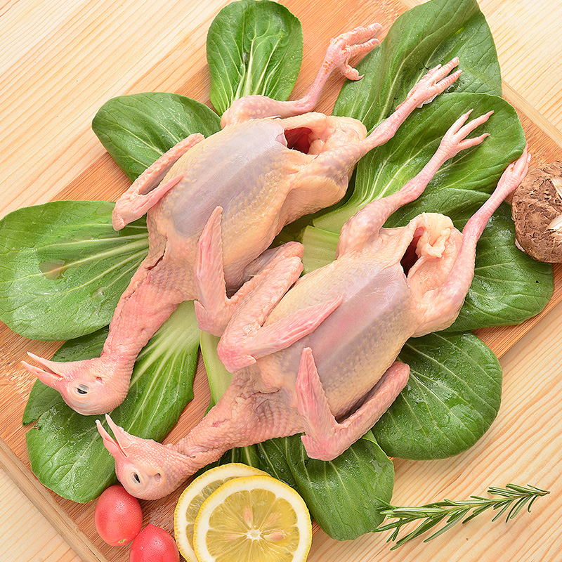 鸽子肉做法视频_鸽子肉的做法_鸽子肉做法大全