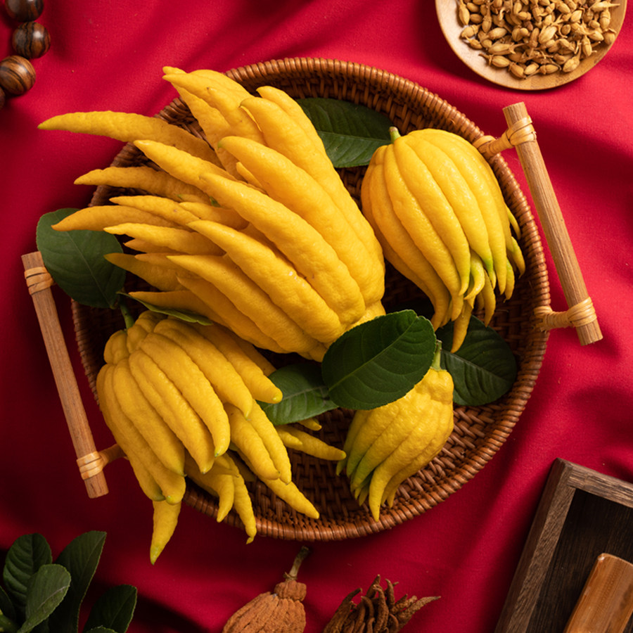 佛手金华鲜果新鲜柑水培清供佛手花摆放闻香佛手果