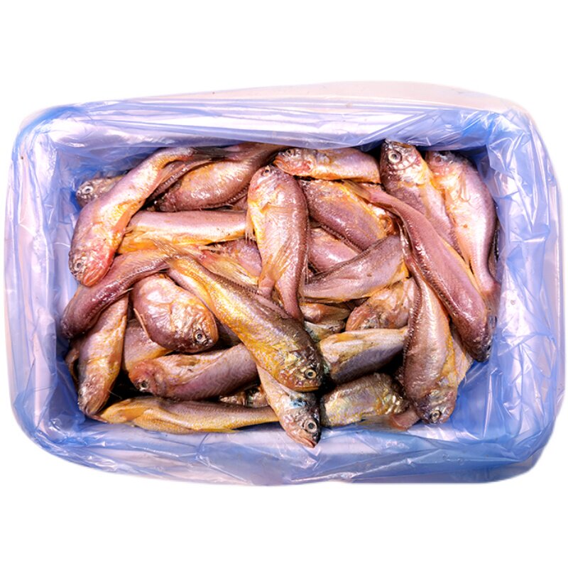 5斤黄梅24条花鱼梅童子鱼童梅海鲜净重速冻其它