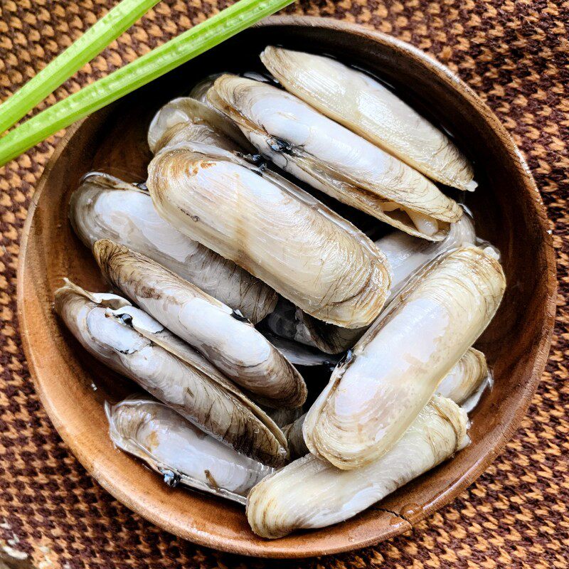 好鲜生温州咸蛏腌制鲜蛏乐清海鲜特产即食贝类蛏子