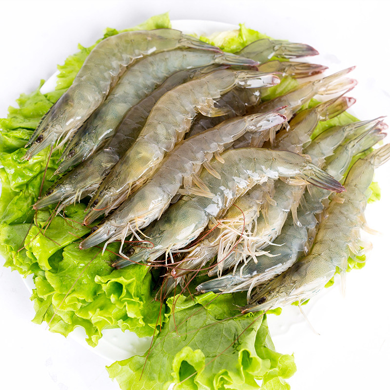 青岛大虾白虾 对虾 野生海捕基围虾冷冻40海虾超大空运包邮